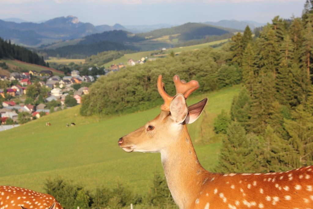 Lapszanska Ostoja Villa Łapsze Niżne Exterior foto
